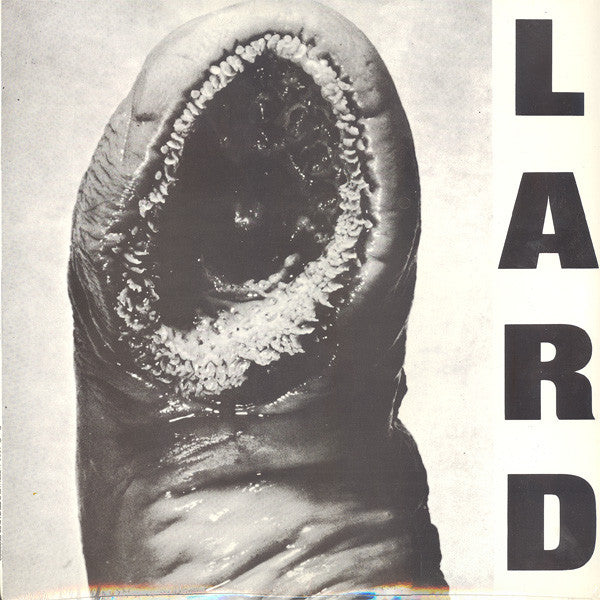 Master Release: Power Of Lard EP by Lard