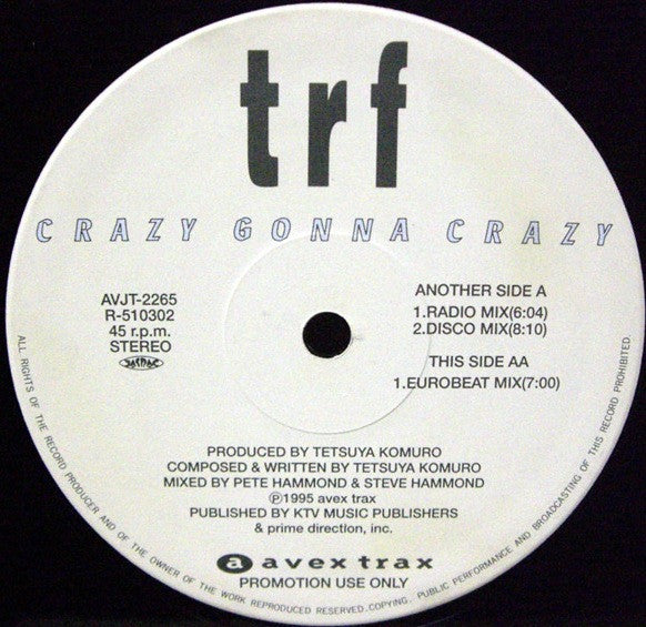 Release: Crazy Gonna Crazy-Vinyl-Japan-1995-AVJT-2265-1365082