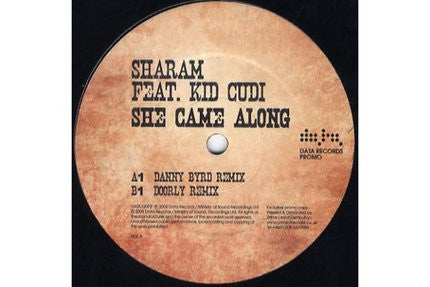 Master Release: She Came Along by Sharam Tayebi