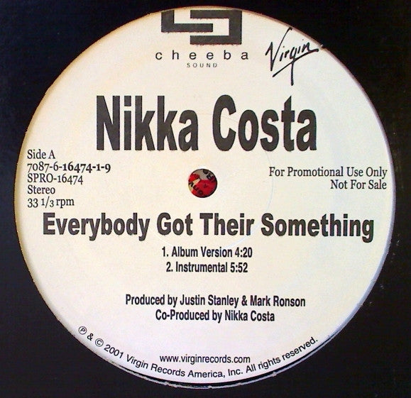 Master Release: Everybody Got Their Something by Nikka Costa