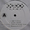 Busta Rhymes - Da Coming (2xVinyl, LP, Album, Reissue, Unofficial Release) Good Plus (G+) / Generic