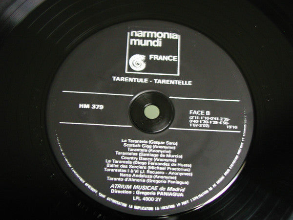 Tarentule-Tarentelle
