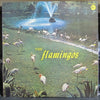 The Flamingos - Flamingos (Vinyl, LP, Album) Very Good Plus (VG+) / Good Plus (G+)