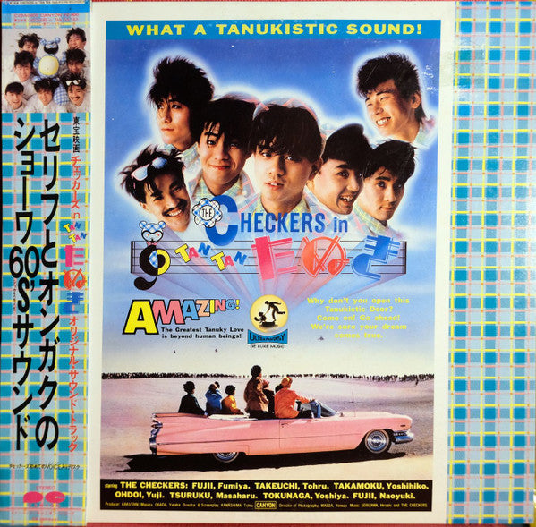 Checkers In Tan Tan たぬき