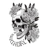 The Birthday - サンバースト (2xVinyl, LP, Album, Limited Edition) Near Mint (NM or M-) / Near Mint (NM or M-)
