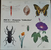 Psy . S - Collection (Vinyl, LP, Album, Promo)