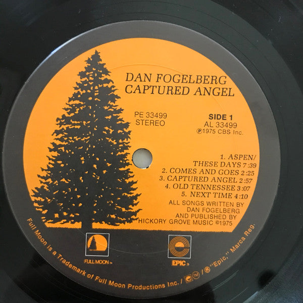 Captured Angel