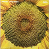 The Great American Music Band - Aranjuez Wonderland (Vinyl, LP, Album, Stereo) Very Good Plus (VG+) / Very Good (VG)