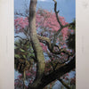Pink Cloud (2) - Plant Blend (Vinyl, LP, Album) Near Mint (NM or M-) / Very Good Plus (VG+)