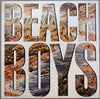 The Beach Boys - The Beach Boys (Vinyl, LP, Album, Reissue, Stereo)