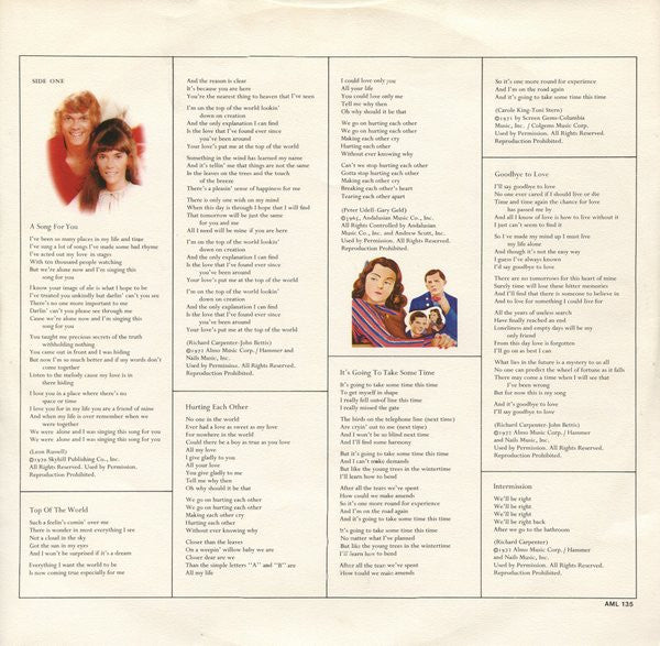 A Song For You