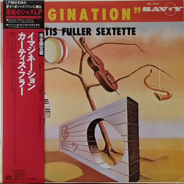 Release: Imagination-Vinyl-Japan-1990-KIJJ-2015, MG 12144-5243613