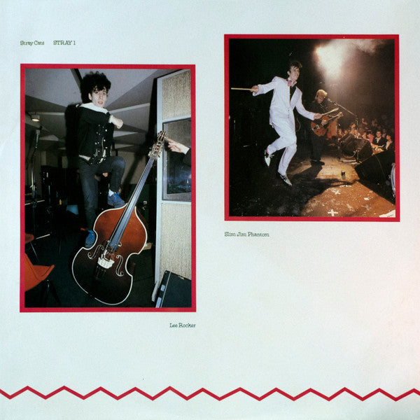 Stray Cats