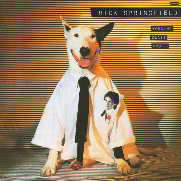 Working Class Dog