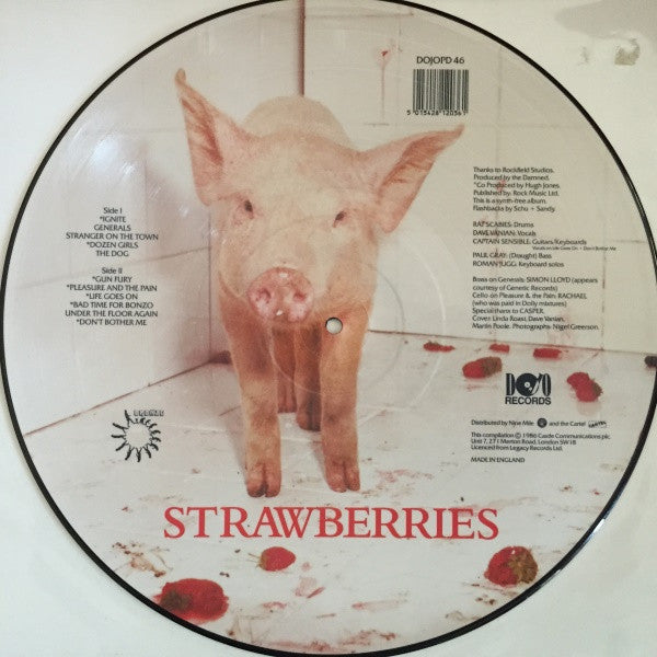 Release: Strawberries-Vinyl-UK-1986-DOJOPD 46-1947507