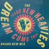 The Brand New Heavies - Dream Come True (Brand New Mix) (Vinyl, 12