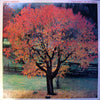Albert Hammond - Your World And My World (Vinyl, LP, Album)