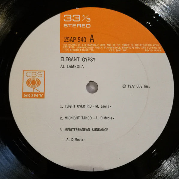 Elegant Gypsy