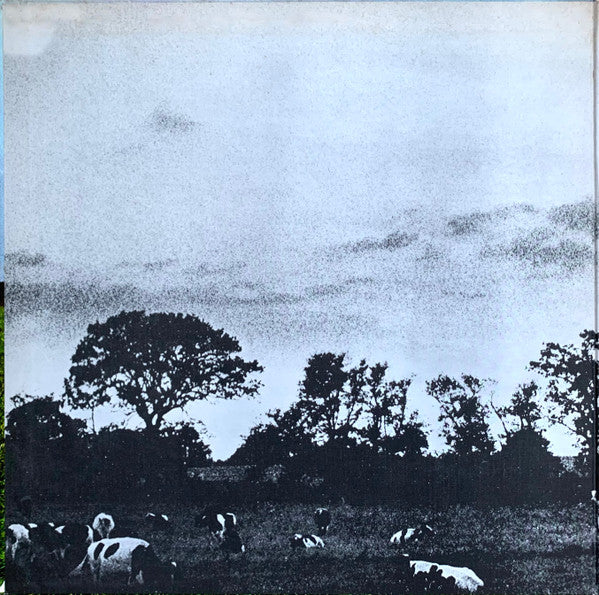 Atom Heart Mother = 原子心母