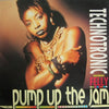 Technotronic - Pump Up The Jam (Vinyl, 12