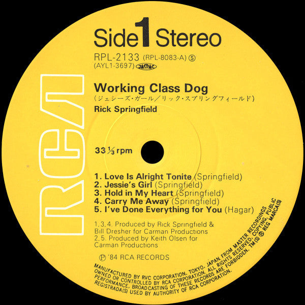 Working Class Dog
