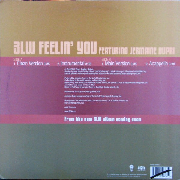 Master Release: Feelin' You by 3LW