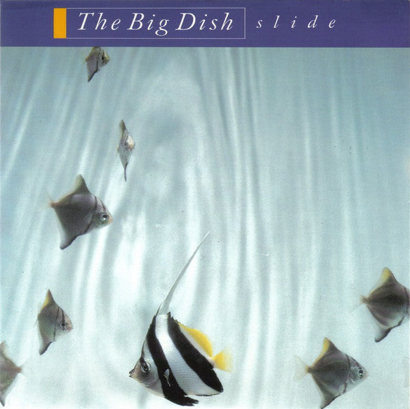 Master Release: Slide (Extended Version) by The Big Dish