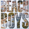 The Beach Boys - The Beach Boys (Vinyl, LP, Album, Stereo) Very Good Plus (VG+) / Very Good (VG)