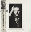 Sting - ...Nothing Like The Sun (Vinyl, LP, Album, Stereo)