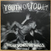 Youth Of Today - Break Down The Walls (Vinyl, LP, Album, Reissue) Near Mint (NM or M-) / Near Mint (NM or M-)