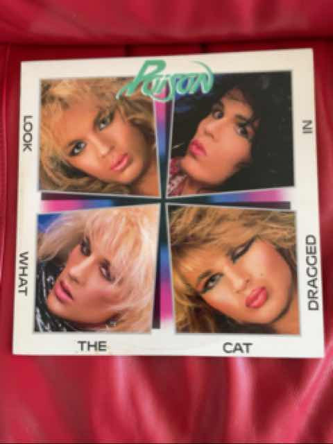 Look What The Cat Dragged In = ボイズン・ダメージ
