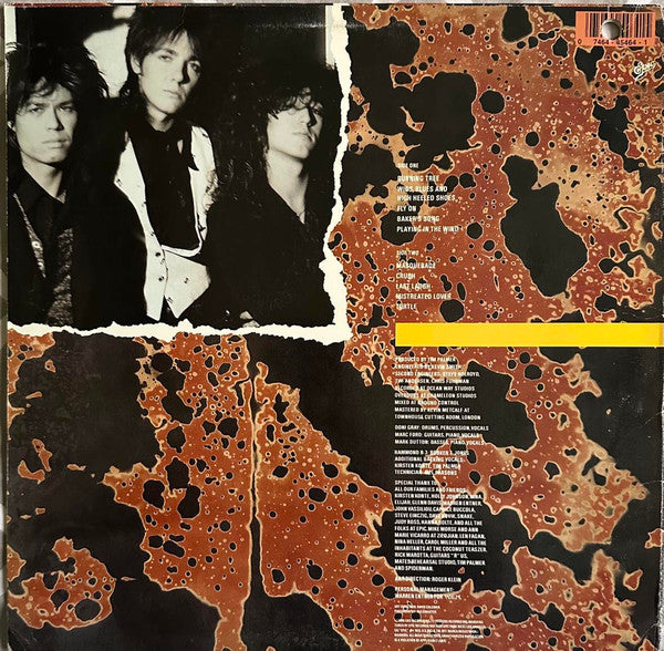 Release: Burning Tree-Vinyl-US-1990-E 45464-28997578