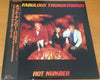 The Fabulous Thunderbirds - Hot Number (Vinyl, LP, Album) Very Good Plus (VG+) / Very Good (VG)