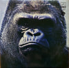 Various - フォーク 日本のシンガー=ソングライター6人の男達 (Vinyl, LP)