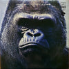 Various - フォーク 日本のシンガー=ソングライター6人の男達 (Vinyl, LP) Very Good (VG) / Very Good (VG)