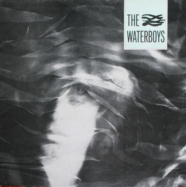 Master Release: The Waterboys by The Waterboys
