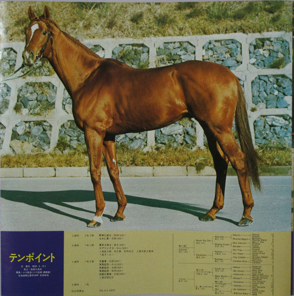 名馬わが愛 競馬史上最強世代の記録