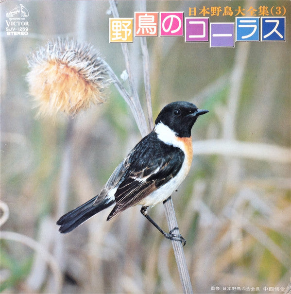 Release: Unknown Release-Vinyl-Japan-1976-SJV-1259, SJV 1259-17280535