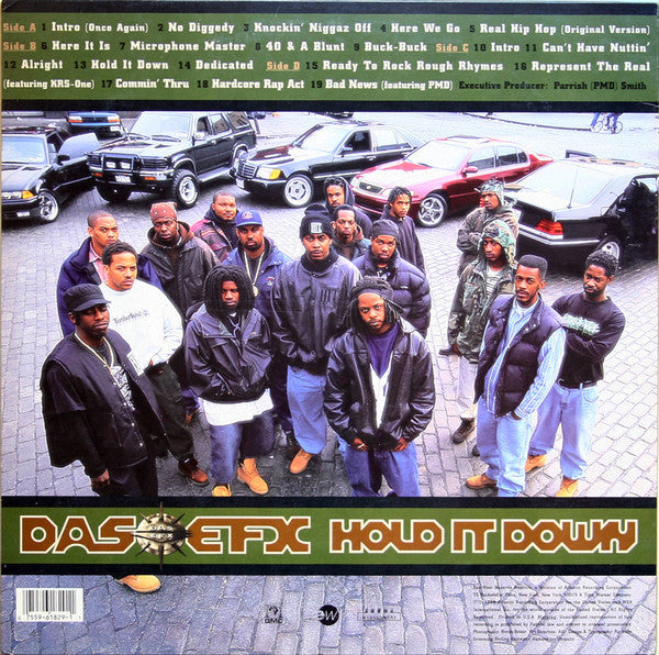 Release: Hold It Down-Vinyl-US-1995-61829-1-11157118