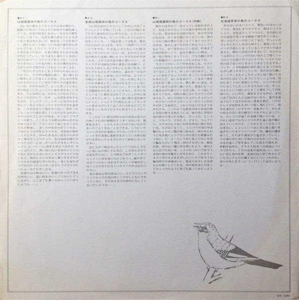 野鳥のコーラス