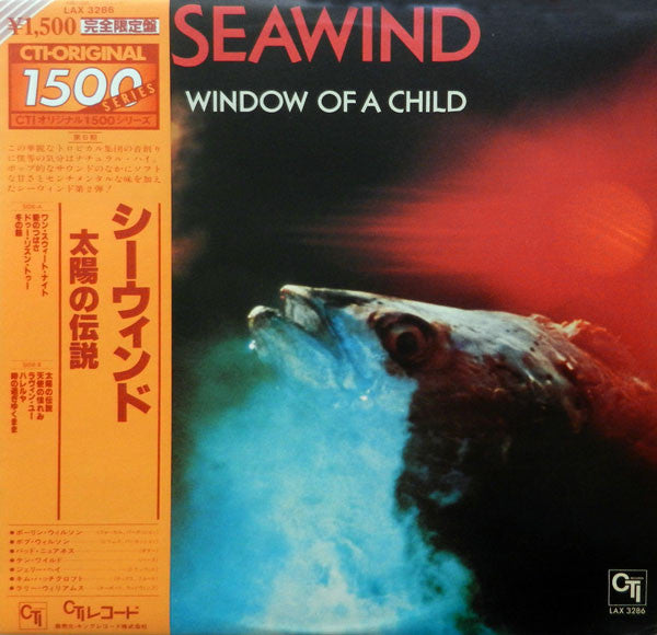 Window Of A Child
