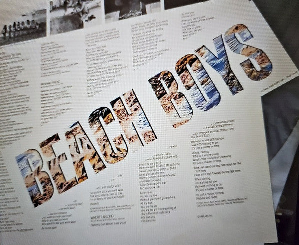 The Beach Boys