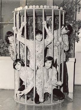 The Tangerine Zoo