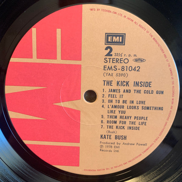 The Kick Inside