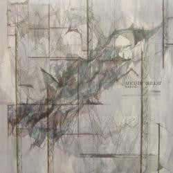 Release: Unknown Release-Vinyl-Japan-2009-3S1202-4608082
