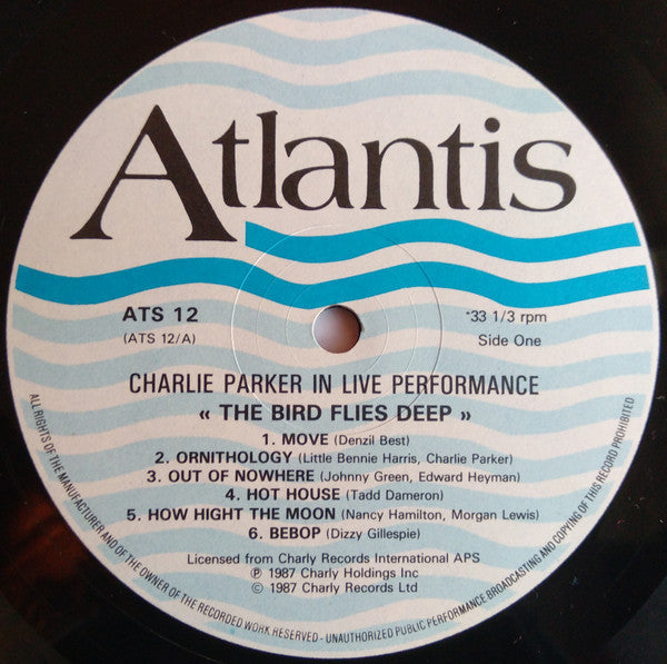 The Bird Flies Deep