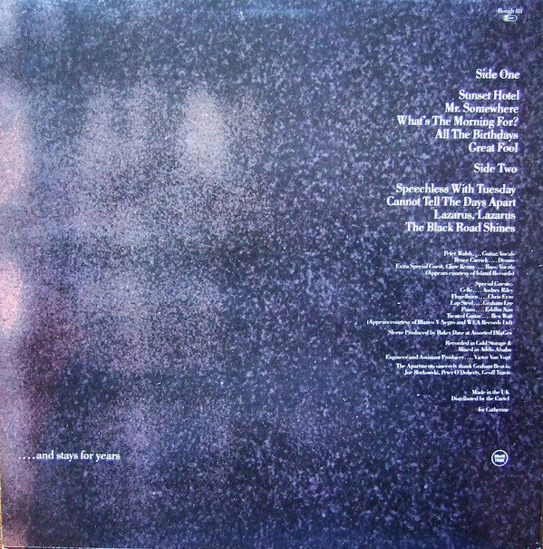 Release: The Evening Visits....And Stays For Years-Vinyl-UK-1985-ROUGH 88-1006417