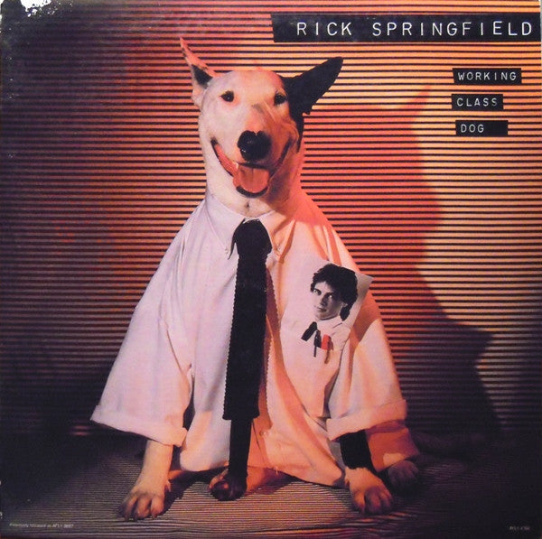 Release: Working Class Dog-Vinyl-US-1981-AYL1-4766-3076314