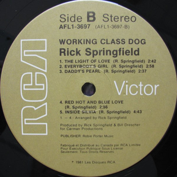 Working Class Dog