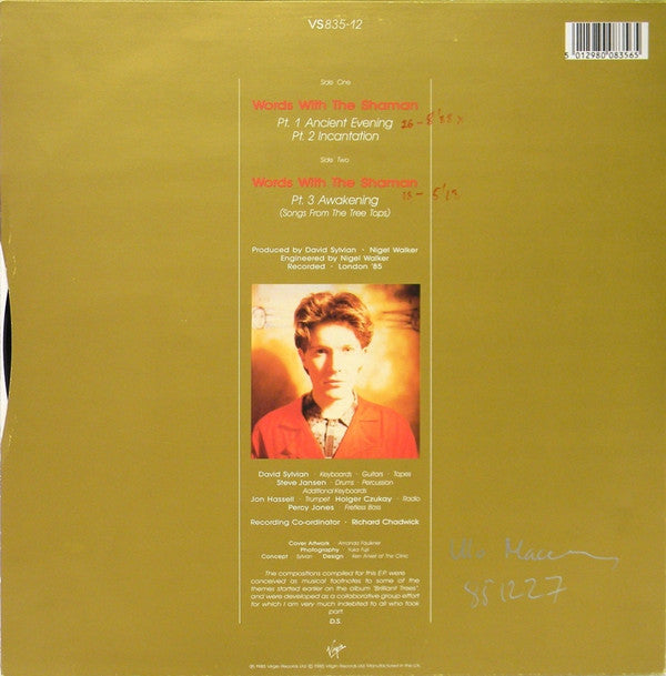 Master Release: Words With The Shaman by David Sylvian